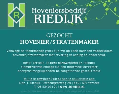 Hovenier Riedijk nieuw 126x100mm